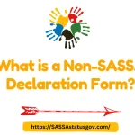 What is a Non-SASSA Declaration Form?